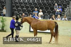 24BUCK_06651 proof