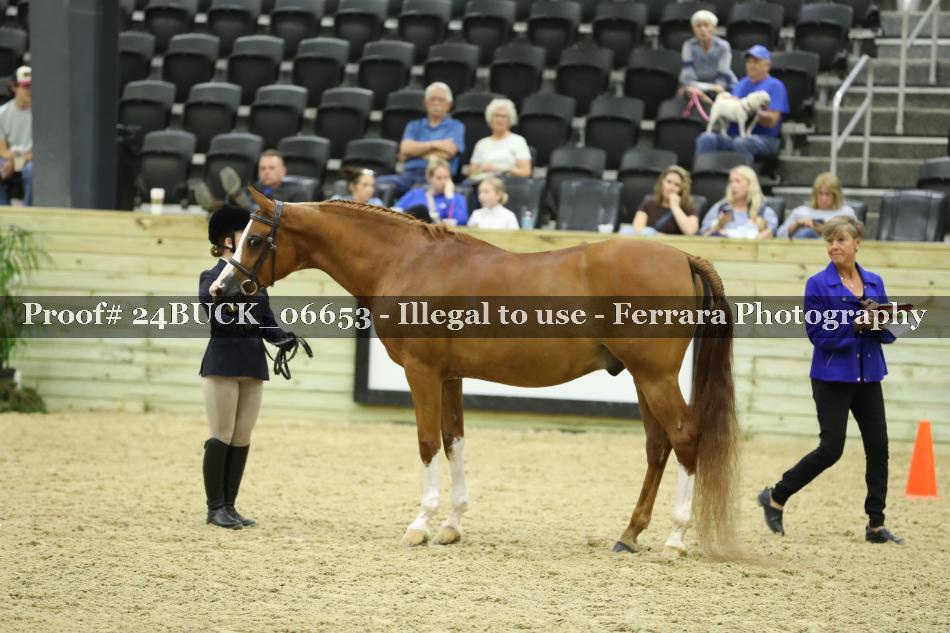 Proof 24BUCK_06653