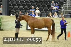 24BUCK_06653 proof
