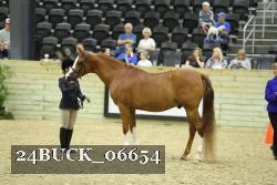 24BUCK_06654 proof