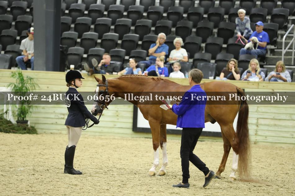 Proof 24BUCK_06656