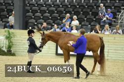 24BUCK_06656 proof