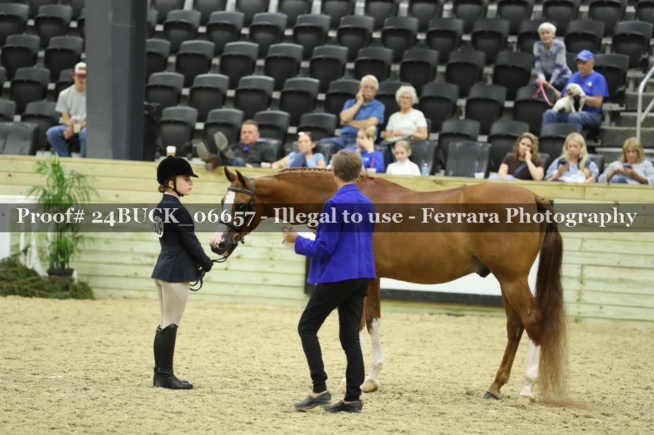Proof 24BUCK_06657