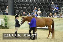 24BUCK_06657 proof