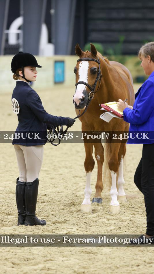 Proof 24BUCK_06658