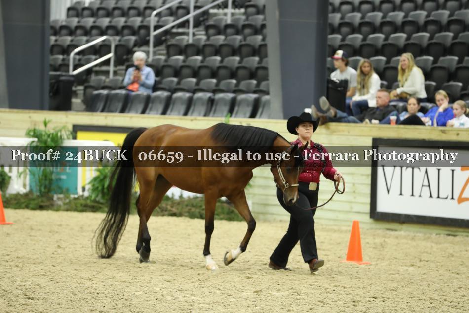 Proof 24BUCK_06659