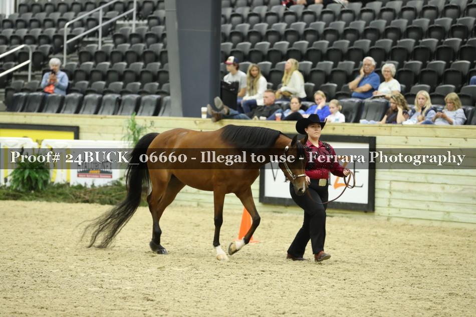 Proof 24BUCK_06660