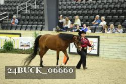 24BUCK_06660 proof