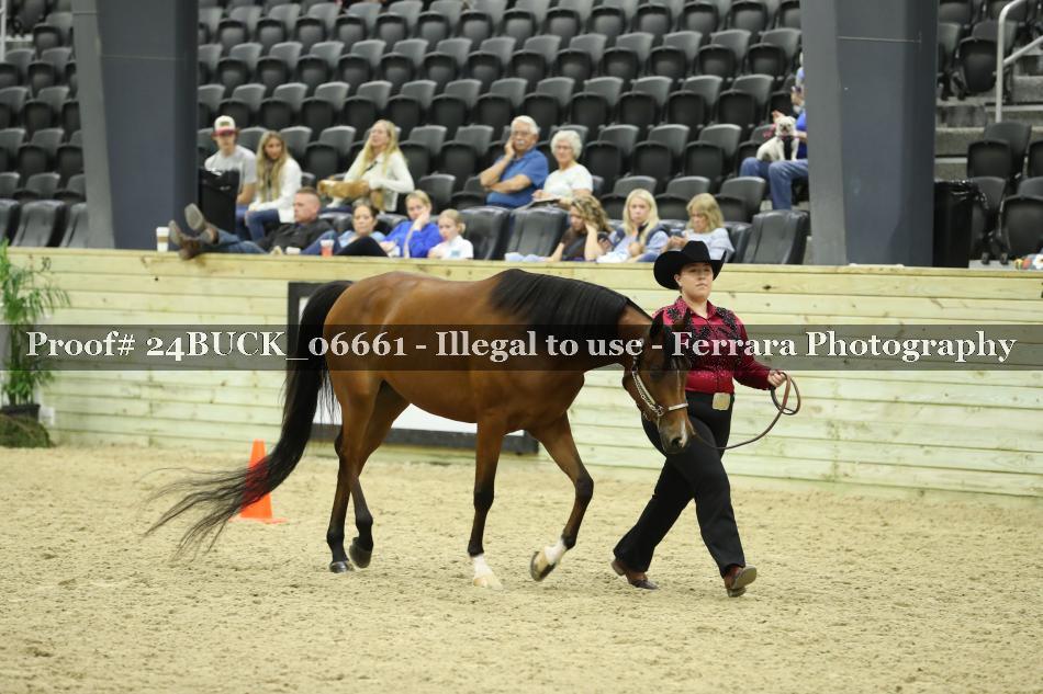 Proof 24BUCK_06661