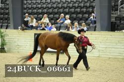 24BUCK_06661 proof