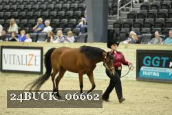 24BUCK_06662 proof