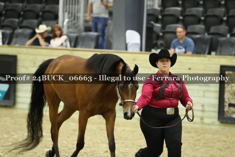 Proof 24BUCK_06663