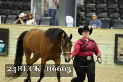 24BUCK_06663 proof