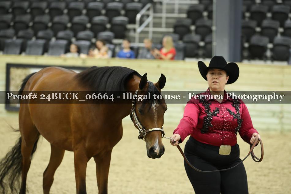 Proof 24BUCK_06664