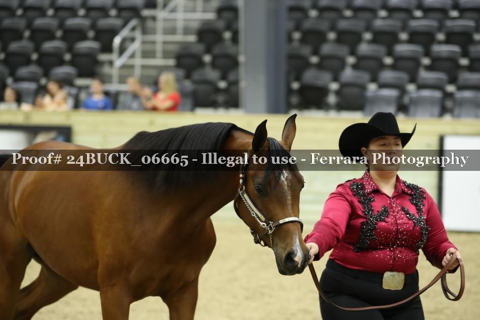 Proof 24BUCK_06665
