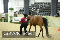 24BUCK_06667 proof