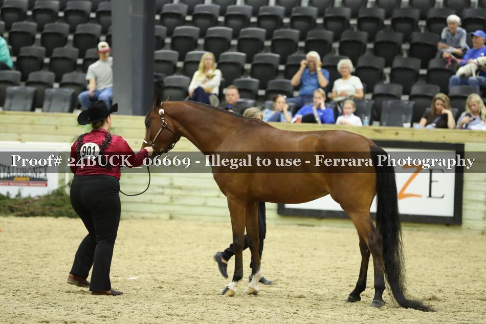 Proof 24BUCK_06669