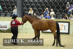 24BUCK_06669 proof