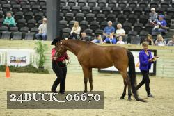 24BUCK_06670 proof