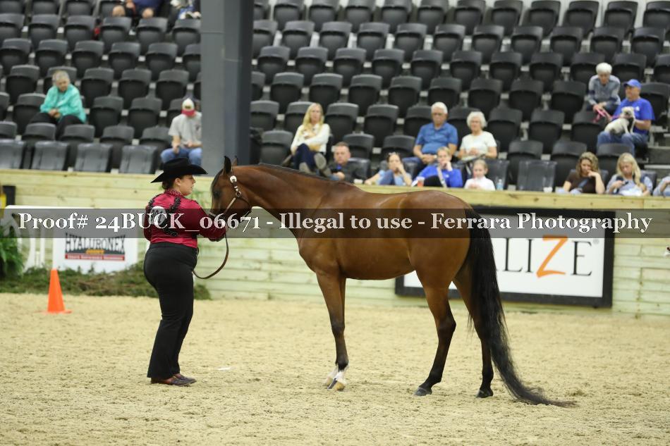 Proof 24BUCK_06671