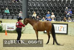 24BUCK_06671 proof