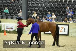 24BUCK_06672 proof