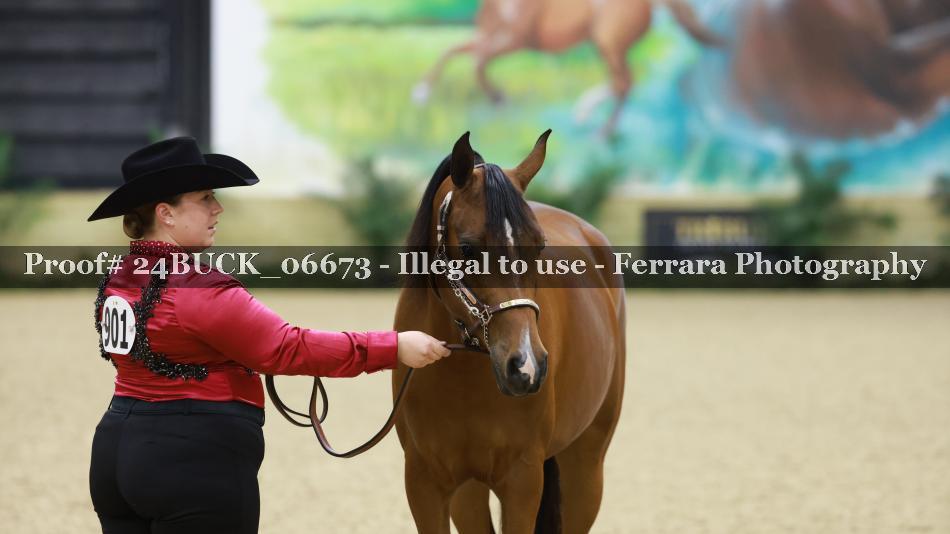Proof 24BUCK_06673