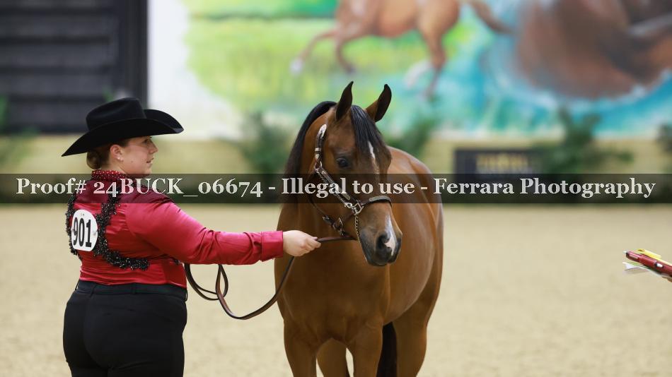 Proof 24BUCK_06674