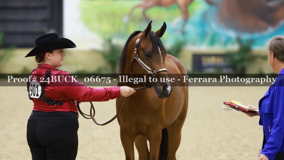 Proof 24BUCK_06675