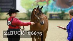 24BUCK_06675 proof