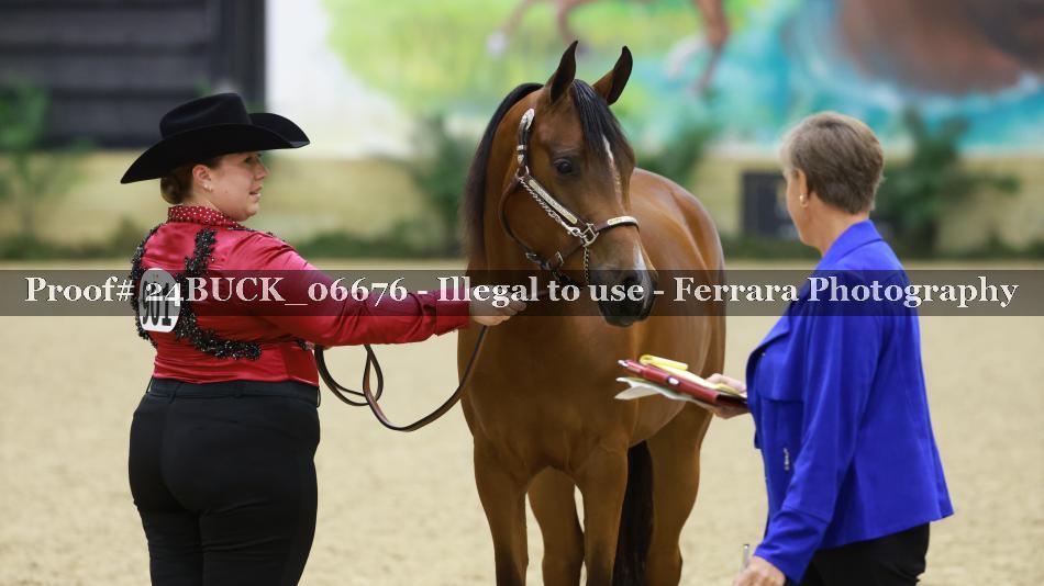 Proof 24BUCK_06676