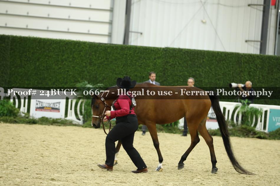 Proof 24BUCK_06677