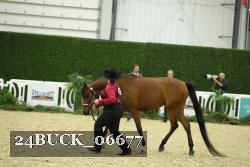 24BUCK_06677 proof
