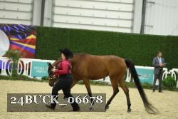 24BUCK_06678 proof