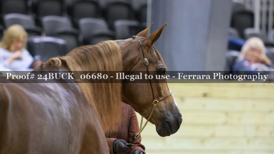 Proof 24BUCK_06680