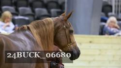 24BUCK_06680 proof