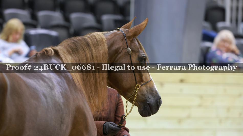 Proof 24BUCK_06681