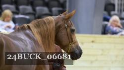 24BUCK_06681 proof