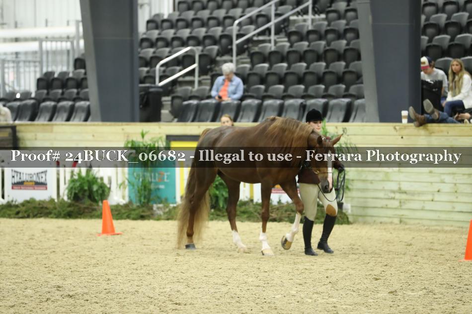 Proof 24BUCK_06682