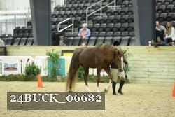 24BUCK_06682 proof