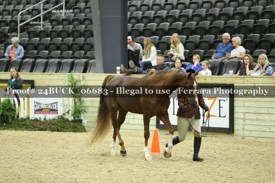 Proof 24BUCK_06683