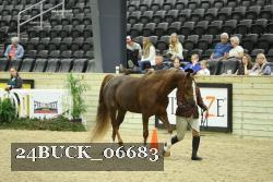 24BUCK_06683 proof