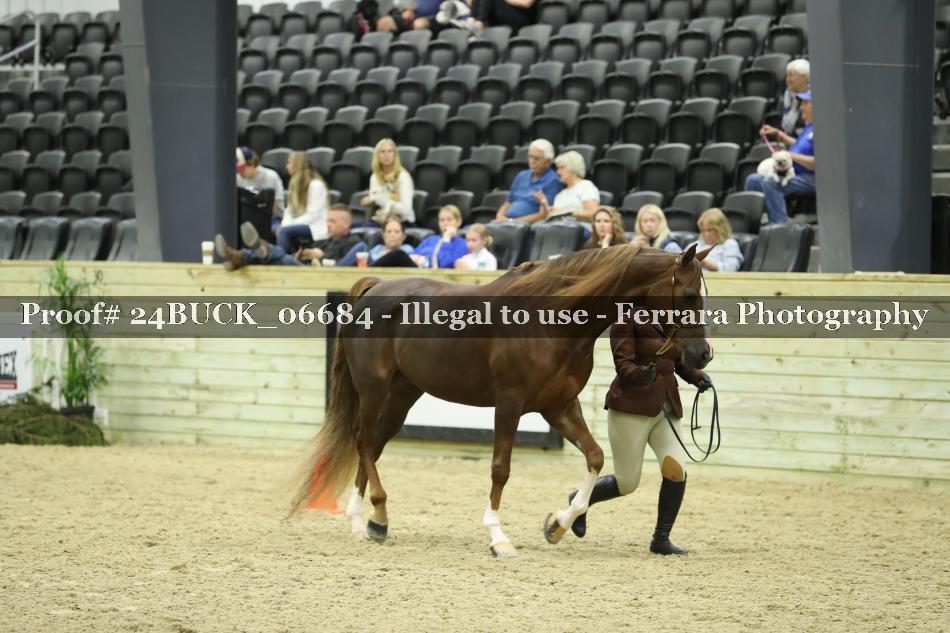 Proof 24BUCK_06684
