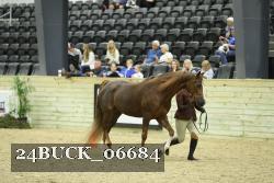 24BUCK_06684 proof