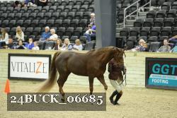 24BUCK_06685 proof