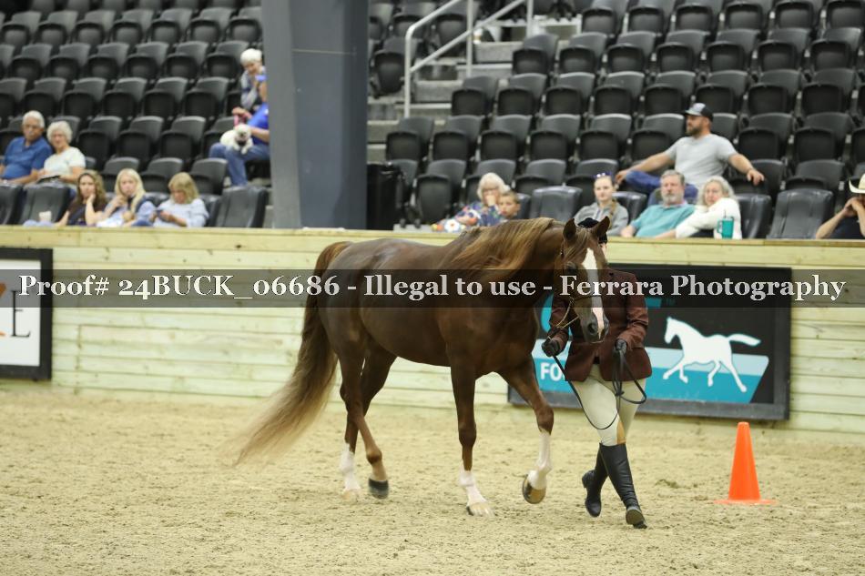 Proof 24BUCK_06686