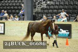 24BUCK_06686 proof
