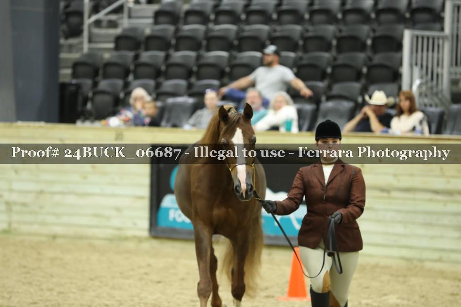 Proof 24BUCK_06687