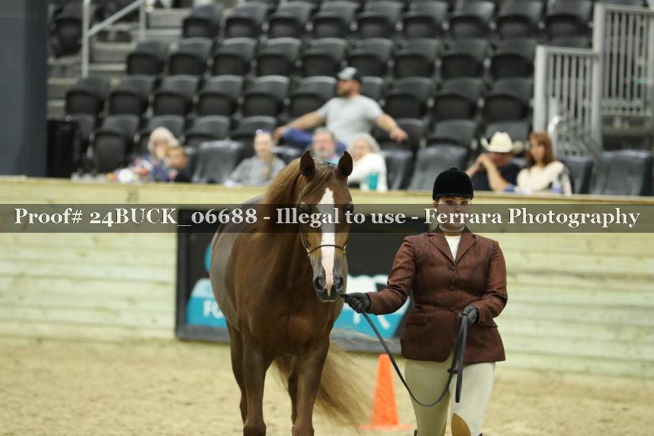 Proof 24BUCK_06688