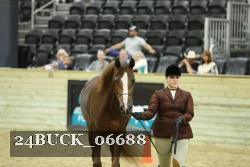 24BUCK_06688 proof